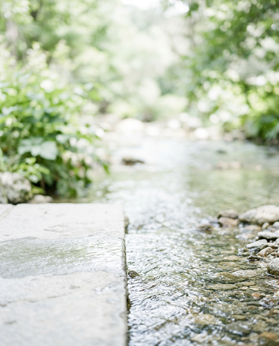 The Water Filter Question, Answered Honestly