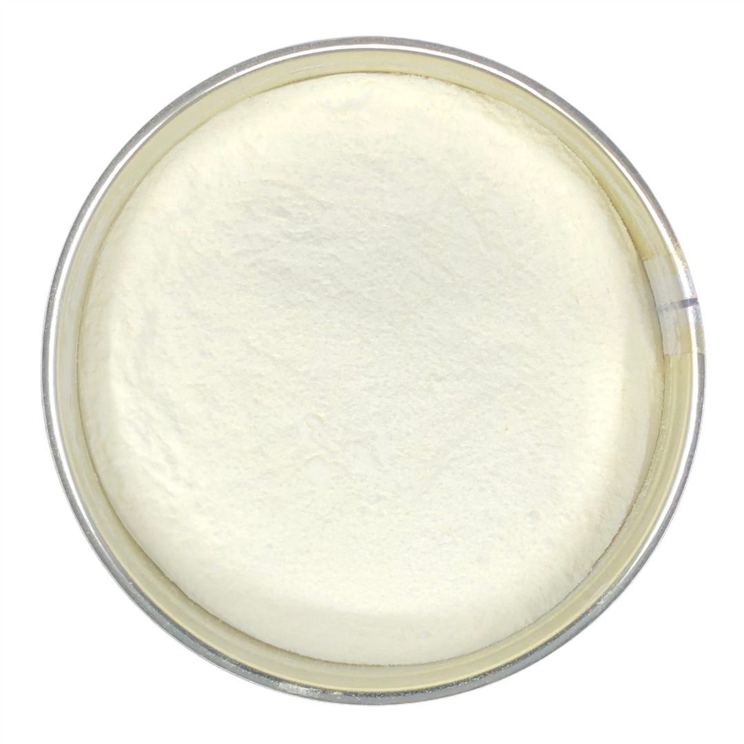 Future Essentials Powdered Instant Non Fat Dry Milk