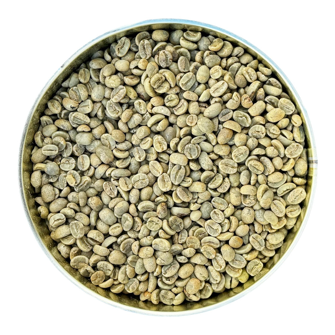 Future Essentials Long Shelf Life Costa Rican La Palma Green Coffee Beans 