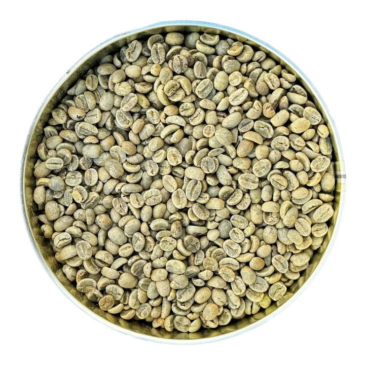 Future Essentials Long Shelf Life Costa Rican La Palma Green Coffee Beans 
