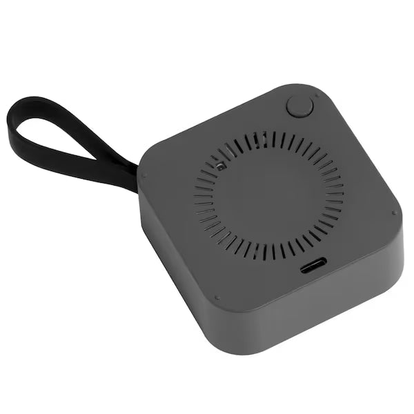 Battery CO alarm